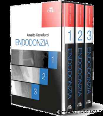 Endodonzia: i progressi degli ultimi anni in un'opera alla portata di tutti, nell'interesse dei pazienti - Odontoiatria33