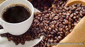 Local coffee producers to export 'barako' to Switzerland | Jasper Y. Arcalas - Business Mirror