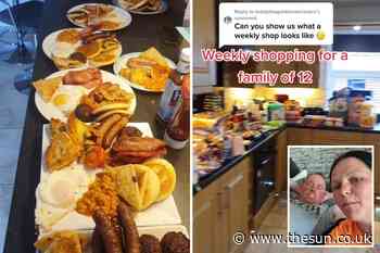 Mum-of-10 stuns with whopping weekly food shop so huge it takes up her whole kitchen…but actually only l... - The Sun