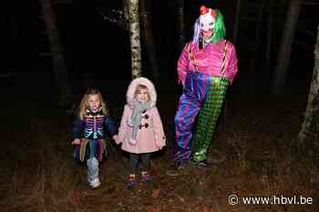 Griezels weer losgelaten op Heuvelse heide (Lommel) - Het Belang van Limburg Mobile - Het Belang van Limburg