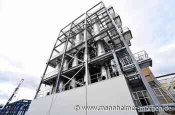 Essity erklärt Beschäftigten in Mannheim Strategie der Umstrukturierung - Wirtschaft - Mannheimer Morgen