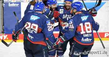 DEL: Adler Mannheim festigt Tabellenführung - Red Bull München verliert - SPORT1
