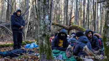 Migrants try to enter Poland, EU readies sanctions against Belarus