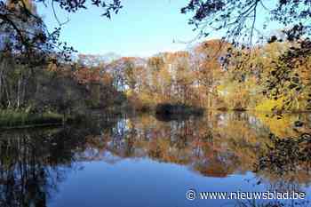 Gids leidt wandelaars door Breeven