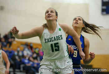 Chilliwack's Deanna Tuchscherer comes alive for Cascades in win over UBC Thunderbirds – Agassiz Harrison Observer - Agassiz Harrison Observer