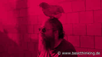 Inbound Marketing: Auch ein blindes Huhn findet einen Kopf? [Anzeige] - Basic Thinking