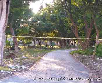 Encuentran ejecutado en parque de la región 215 de Cancun - Palco Quintanarroense