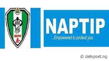 NAPTIP receives 88 victims of human trafficking from govt of Cote d’Ivoire - Daily Post Nigeria