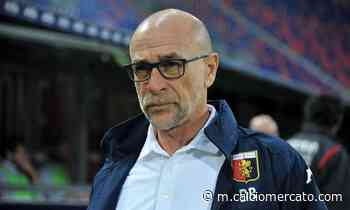 Genoa, le ultime sul futuro di Ballardini | Mercato | Calciomercato.com - Calciomercato.com