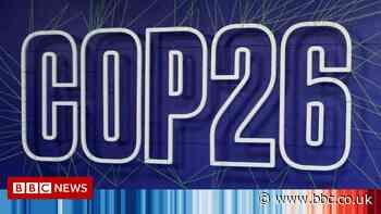 COP26: Focus on gender as giant puppet takes centre stage