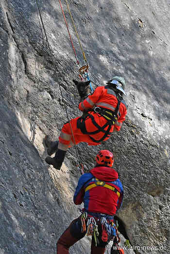 Rettungshunde üben mit Bergrettern am Fels