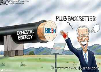 Plugs