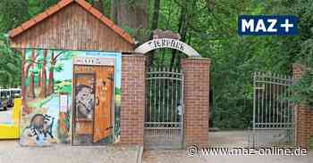 40.000 Gäste - Tierpark Luckenwalde mit Besucherrekord - Märkische Allgemeine Zeitung