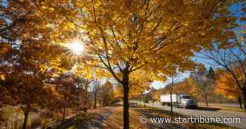 Leaves are still on trees, but many Minnesota cities won't extend yard waste pickup