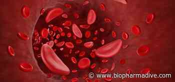 Beam gets green light to begin first clinical test of base editing - BioPharma Dive