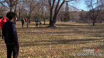 Huskies prep for nationals after strong showing at Can West cross country championships