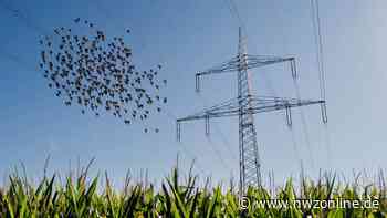 Ursache unklar: Stromausfall am Dienstagmorgen in Garrel - Nordwest-Zeitung