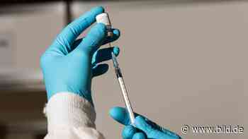 Corona: Sächsische Ärztekammer fordert Impfpflicht - Dresden - Bild.de - BILD