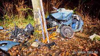 Unfall (Sachsen): 19-Jähriger nach Baum-Crash schwer verletzt - BILD