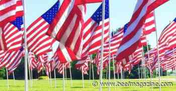 Trending Headlines: A Veteran’s tribute