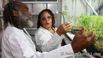 40 Acre Co-op looks to empower minority farmers