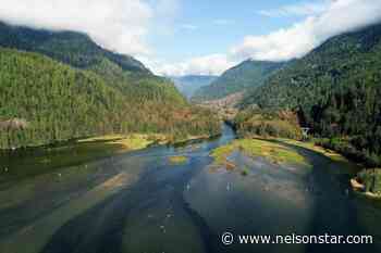 B.C. study shows sustainable management of salmon fishery before colonization - Nelson Star