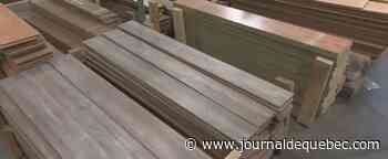 Une première quincaillerie Réemploi Plus à Alma