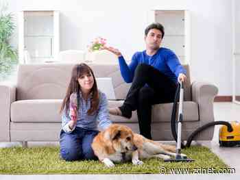 Best vacuum for pet hair 2021: Bissell, Dyson, and more