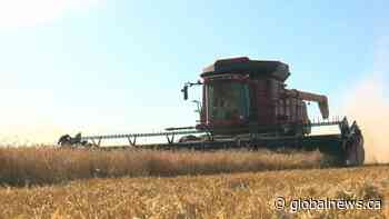 APAS concerned about farmer tax increase with Growth Coalition proposal