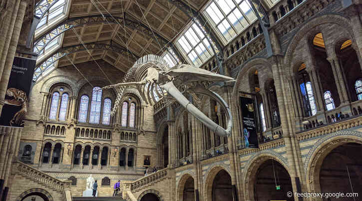 Give the gift of Museum Membership at Christmas