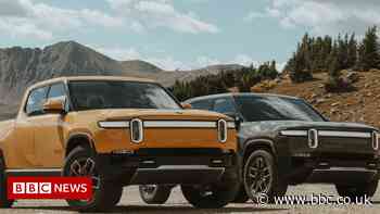 Electric truck maker Rivian raises almost $12bn from share sale