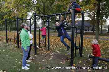 Geen tweede termijn voor wethouder Theo Reijn (70) in Eemnes; 'Een voor weken vol geplande agenda begint me zwaar te vallen' - Noordhollands Dagblad