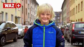 Bekommt Toco aus Witten doch noch seinen Baum? - WAZ News