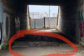 Il ponte di via Croazia perde pezzi, urgono controlli - TraniViva