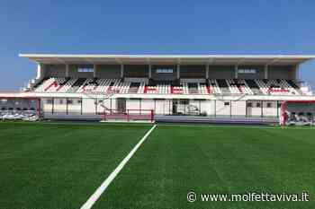 Scontri tra tifosi nel derby contro Trani, il Comune di Molfetta impugna la sentenza di condanna - MolfettaViva