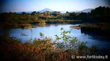 Anche Bertinoro aderisce all'Osservatorio del paesaggio Ronco-Bidente - ForlìToday