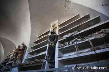 Capuchin Catacombs: Solving the Mysteries of Palermo’s Child Mummies
