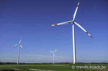 Ecopower in beroep tegen geweigerde vergunning voor windturbines in Mol - Trends