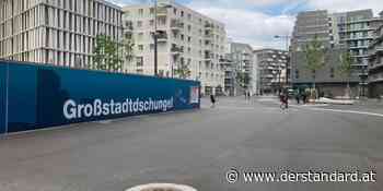 Wildgarten, Seestadt, Sonnwendviertel: Die Probleme Wiener Stadtentwicklungsgebiete - derStandard.at