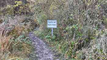 Dschungelpfad bei Volkach: Welche Gefahren hat der Wanderweg? - BR24