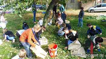 1. Apfelsaftaktion im Hort Volkach - Main-Post