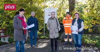 Warum Heppenheim schmuck bleibt - Echo Online