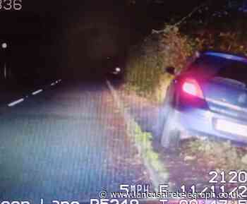 Police dogs track escaped driver of cloned Astra following chase through estate