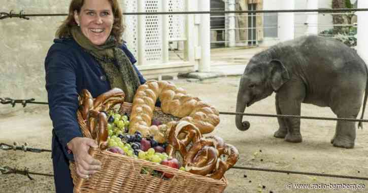 Elefant «Otto» feiert ersten Geburtstag