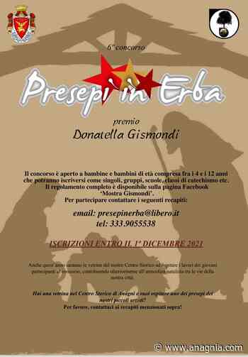 Anagni. Via alla sesta edizione del contest "Presepi in erba" dedicato a Donatella Gismondi - anagnia.com