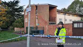 Harlow murder probe: Three arrested on suspicion of murder
