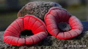 Canadians mark Remembrance Day in person a year after pandemic limited ceremonies