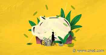 5 steps to retrofitting your retirement strategy for climate change     - CNET