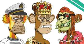 Universal brings together 4 bored, virtual apes to form an NFT music group     - CNET