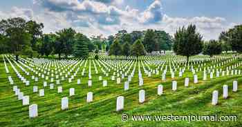 Today We Honor America's Veterans for Their Sacrifice, as We Should Every Day